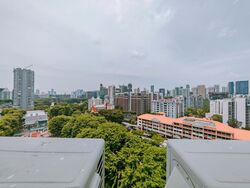 Dunearn Road (D11), Condominium #622702311